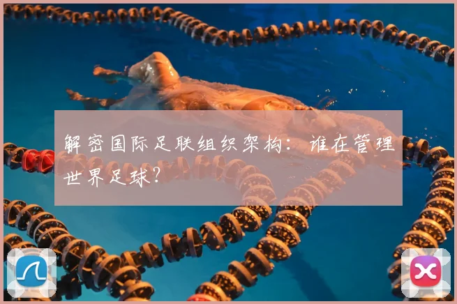 解密国际足联组织架构:谁在管理世界足球?