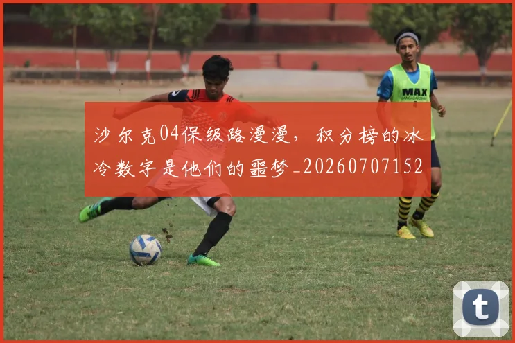 沙尔克04保级路漫漫,积分榜的冰冷数字是他们的噩梦_20260707152936