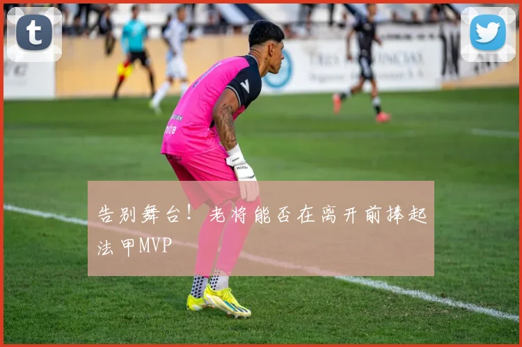 告别舞台!老将能否在离开前捧起法甲MVP