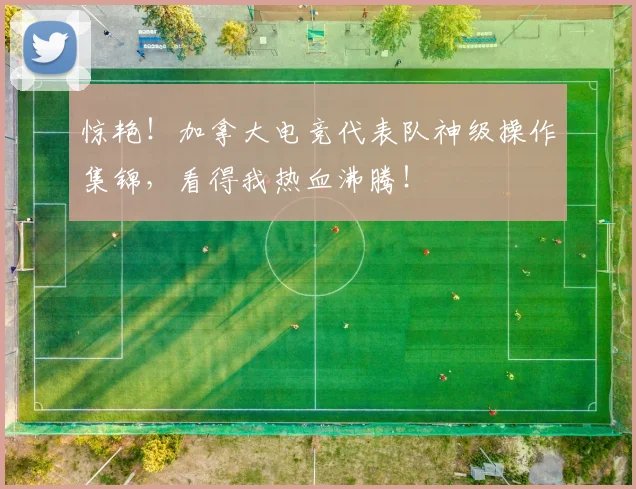 惊艳!加拿大电竞代表队神级操作集锦,看得我热血沸腾!