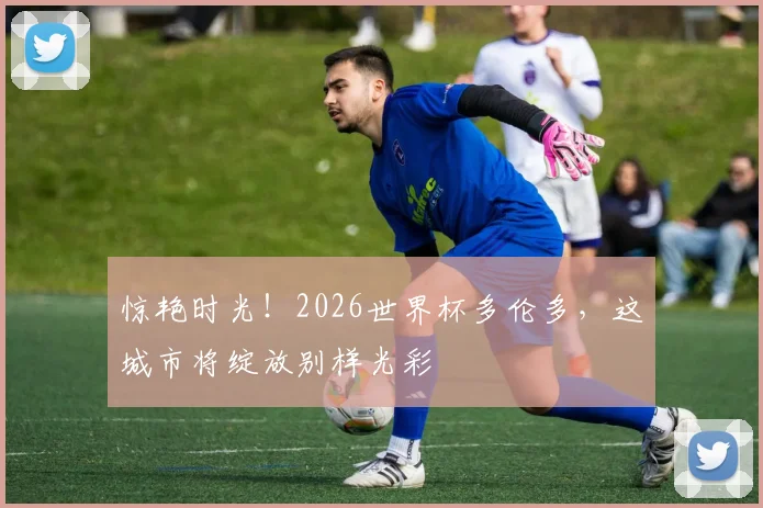 惊艳时光!2026世界杯多伦多,这城市将绽放别样光彩
